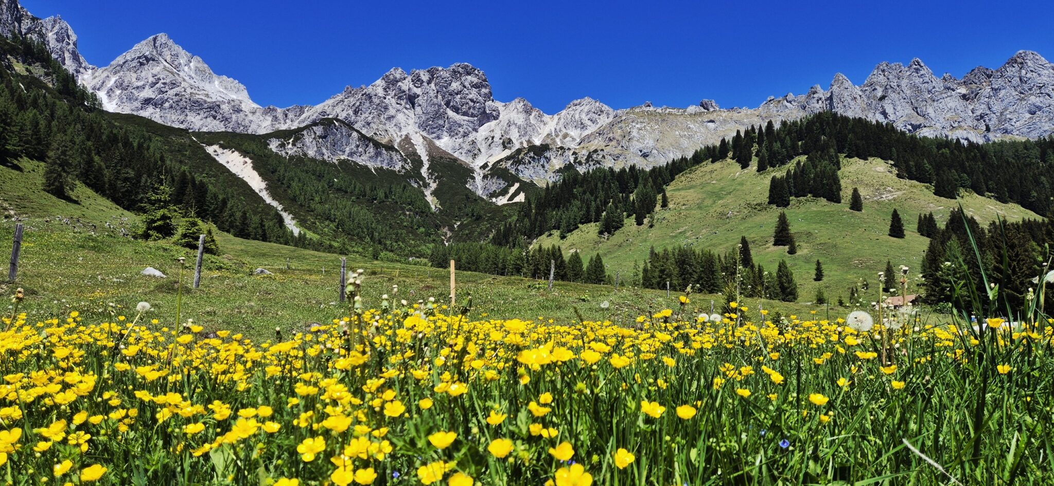 Dachstein Panorama