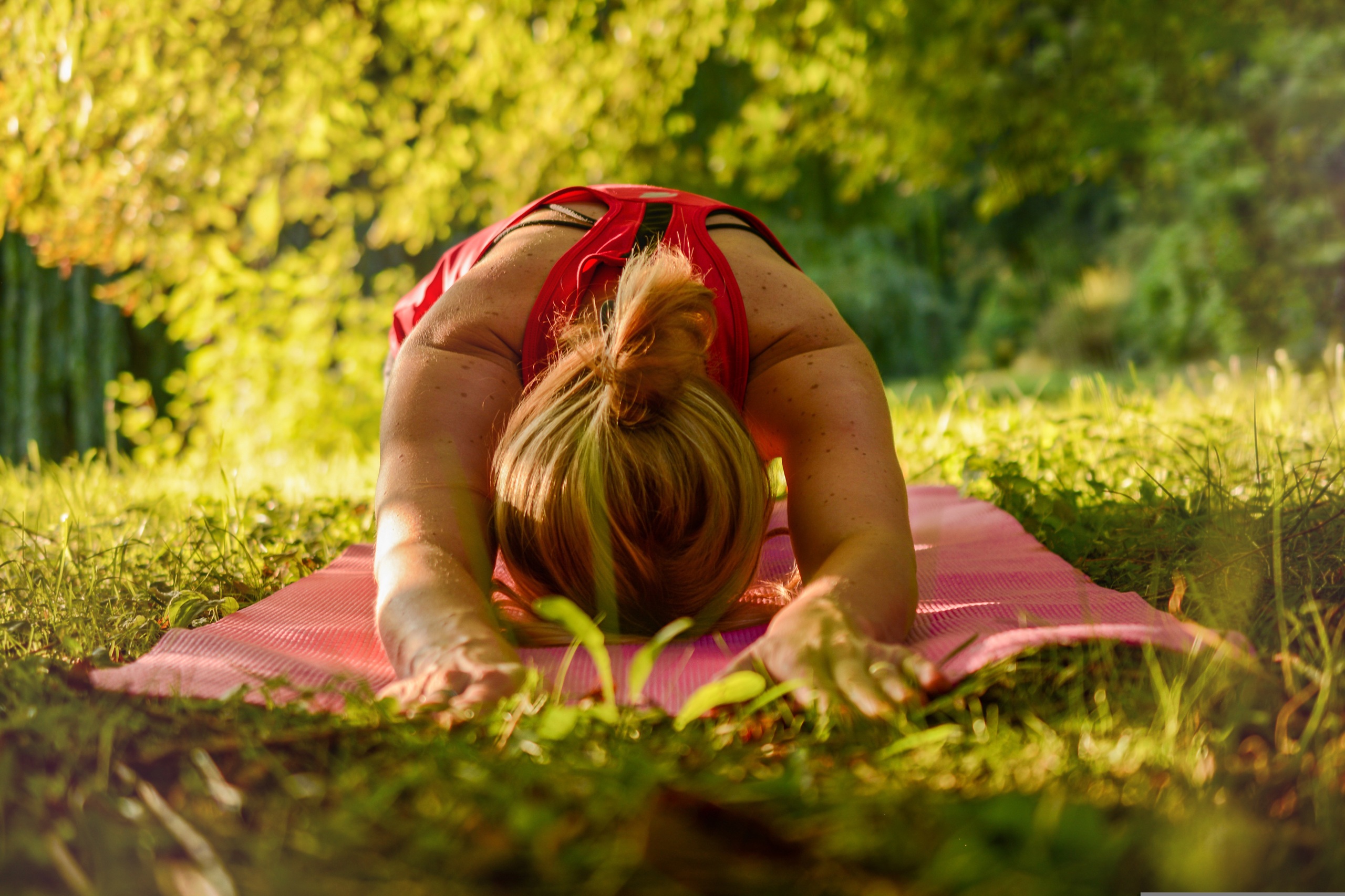 Yoga in der Natur